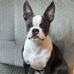 Joe Janesak - @joejanesak - Instagram