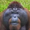 Jerome joe - @jerome.joe - TikTok