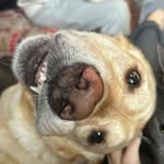 Joe Johnstone - @joe.johnstone.355 - Instagram