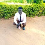 Jolly Joe - @jollyjoe311 - Instagram