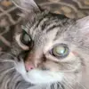 Joe katz - @jck7875 - TikTok