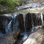 Joe Kauffman - @joe.kauffman.90834 - Instagram