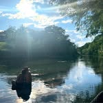 Joe Kauffman - @joekauffman01 - Instagram