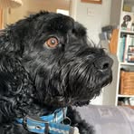 Joe Kearney - Facebook