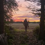 Joe Kearney - @joekearney1 - Instagram