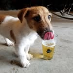 Joe Keefe - @keefebrowns32 - Instagram