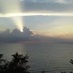 Joe Keefe - @keefe.joe - Instagram