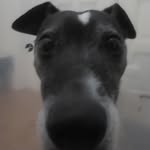 Joe O'Keefe - @joe__okeefe - Instagram