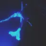 Joe Keeley - @joekeeley0 - TikTok
