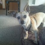 Joe Keever - @joekeever62 - Instagram