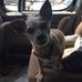 Joe Keever - Facebook