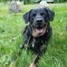 Joe Kincaid - Facebook