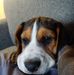 Joe Kincaid - Facebook