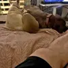 Joe Kinney - @joe.kinney15 - TikTok