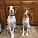 Joe Kinney - @joe.kinney.988 - Instagram