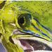 Joseph Kinser - Facebook