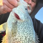Joe Kitchens - @crappiedoc2.0 - Instagram