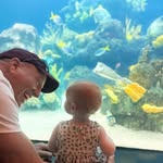 Joe Knipp - @knippjoe - Instagram
