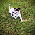 Joenin Korte - @kortejoenin - Instagram