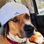 Joe Krasnowski - @joekrasnowski - Instagram