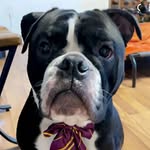 @joekreger - Instagram