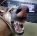 Jo Krull - Facebook