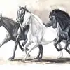 Joe Kurowski - @joe.kurowski0 - TikTok
