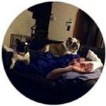 Joe Kurtz - @joegreybeard__ - Instagram