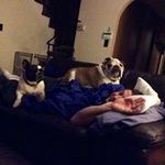 Joe Kurtz - @joegreybeard - Instagram