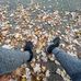 Joe Lanamana - Facebook