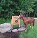 Joe Lamm - Facebook