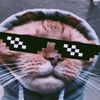 Joey Lamm - @joeylamm8194 - TikTok