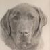 Joe Langford - Facebook