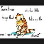 Joe Lanier - @lanier7440 - Instagram