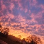 Joe Lanier - @lajozz69 - Instagram