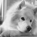 Joseph C. Lapp - Facebook