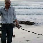 joe latimer - @joelatimer57 - Instagram