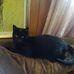 Joe Latimer - Facebook