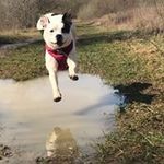 Joe Lawlor - @joe.lawlor.3192 - Instagram