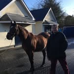 Joe Lawlor - @joelawlor63 - Instagram