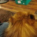 Joe Lawlor - @joelawlor40 - Instagram
