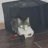 Ĵoe Leclair - @oe.leclair - TikTok