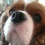 Joe leech - @theeggpickler - Instagram