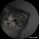 joel.e.h.r - @joel.e.h.r - Instagram