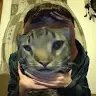 Joey Lehr - @joeylehr - TikTok