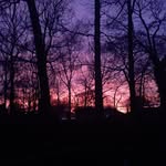 joe Licari - @buggalou1773 - Instagram