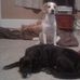 Joe Lipscomb - Facebook
