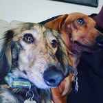 joe lipscomb - @jimlips210 - Instagram