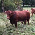 Joe Loftin - @loftin181 - Instagram
