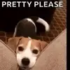 Joe Lowry - @user09122289 - TikTok